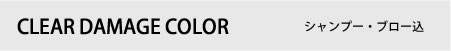 CLEAR DAMAGE COLOR カラー